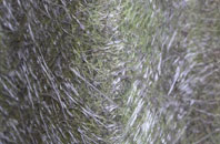 Preston Brook fibreglass roof work